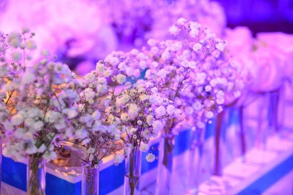 Rodolph & Christina Wedding